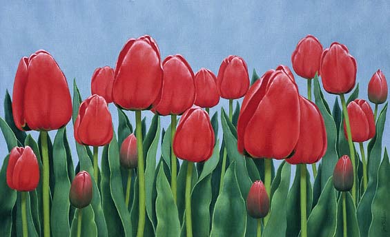 Tulips